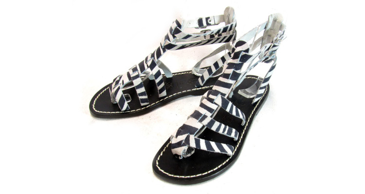 506 Zebra